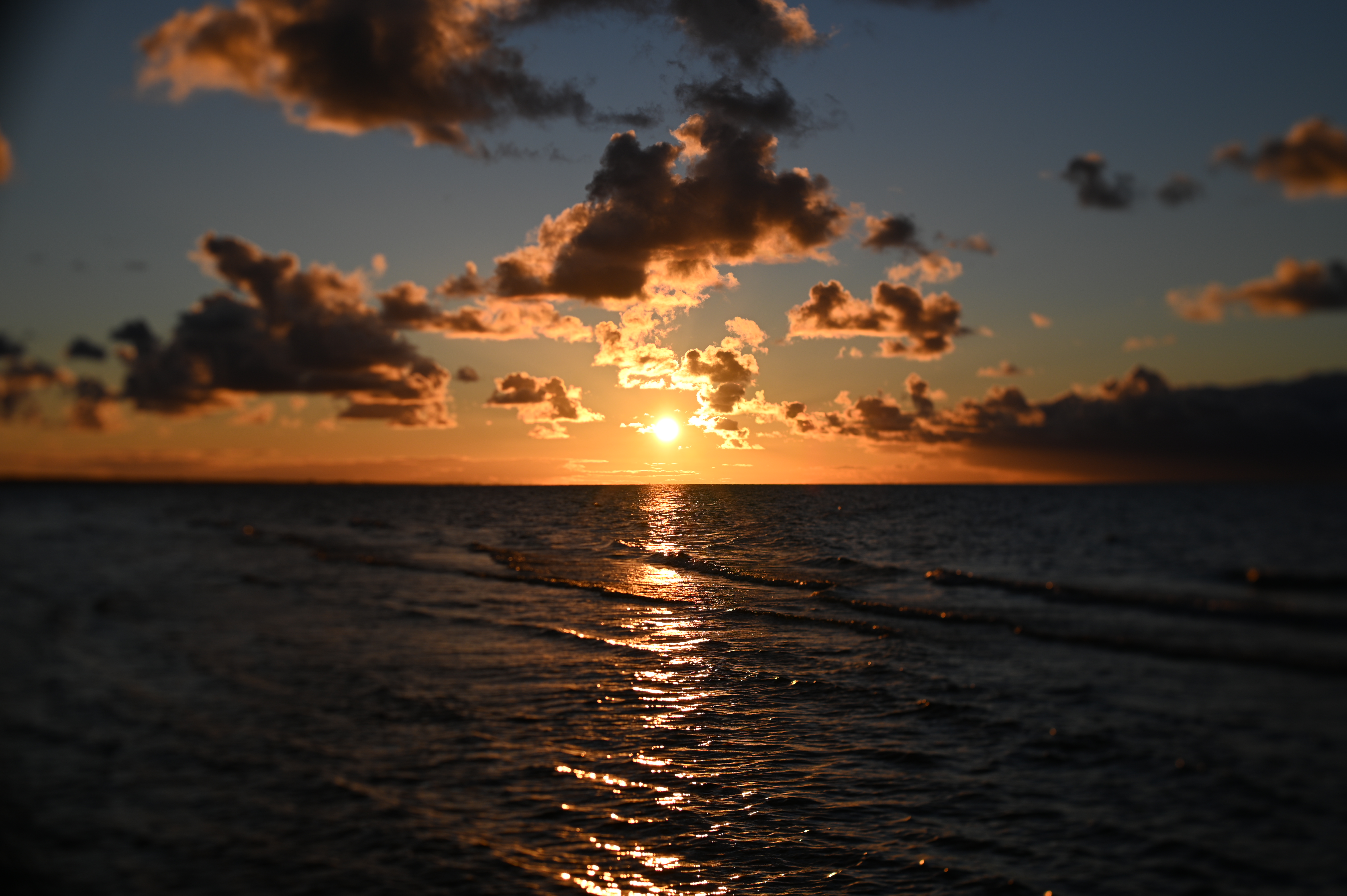 2025/10/18 - walk/DSC_0370.JPG